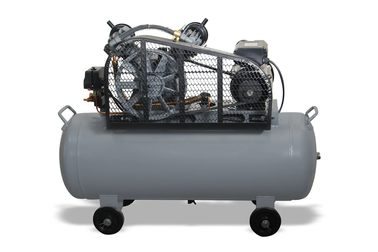 100 lt 2 Kafa 8 Bar 2 Hp Pistonlu Hava Kompresörü - GP 100