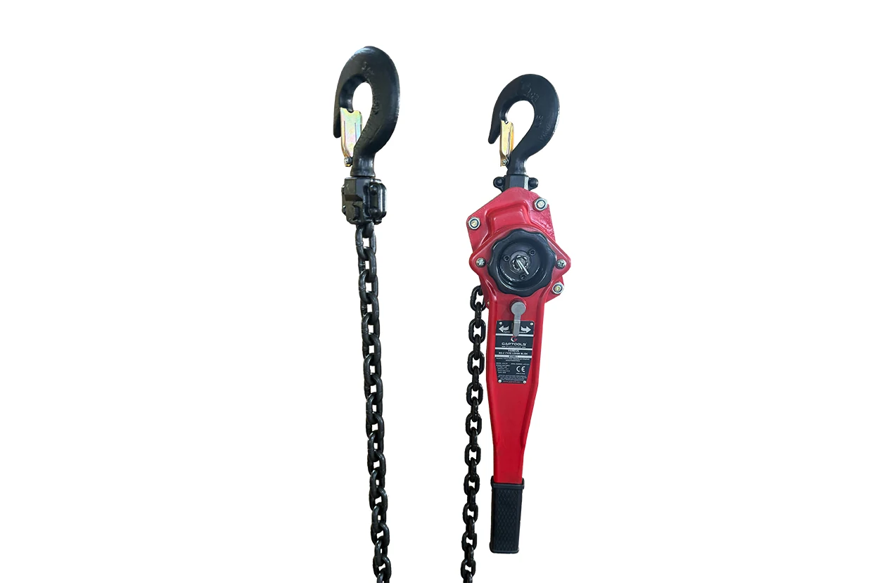 1 Ton 5 m Hubzug - GPC1T5M